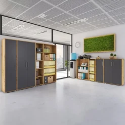 Garnero Arredamenti Armadio ufficio 79x188 cm 2 ante rovere grafite Woody Grafite - Rovere Rustico Clearance